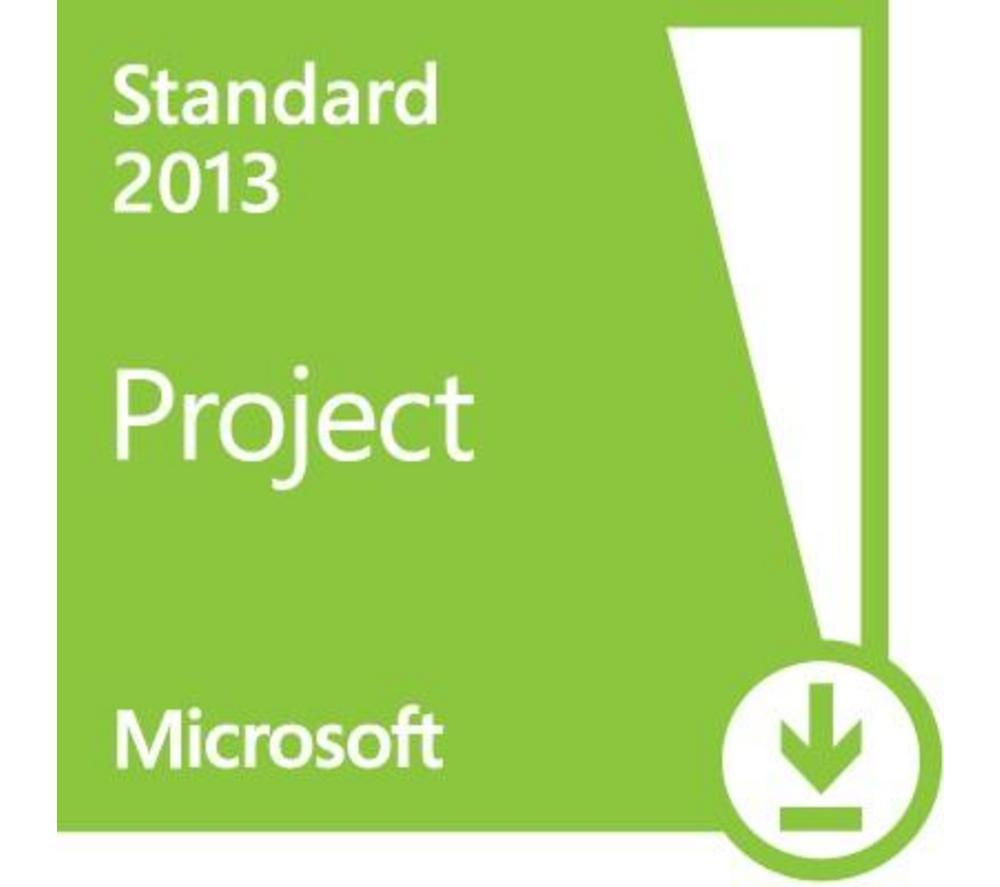 ms project standard 2013